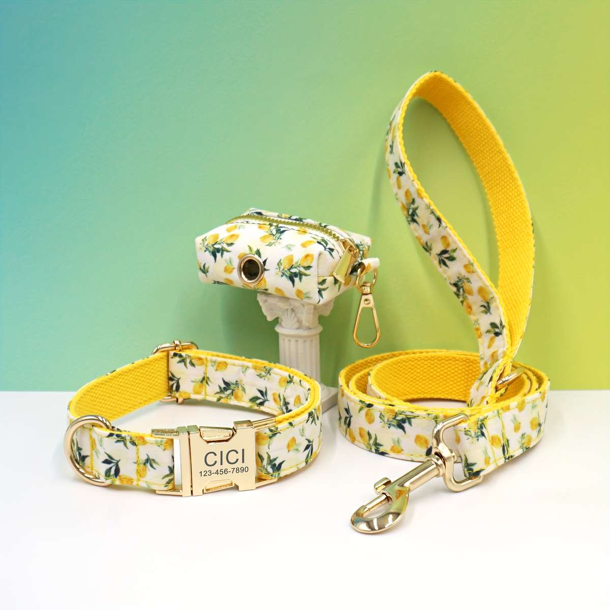 Dog Leash Color Watermelon Dog Circle 3Piece Set Size L