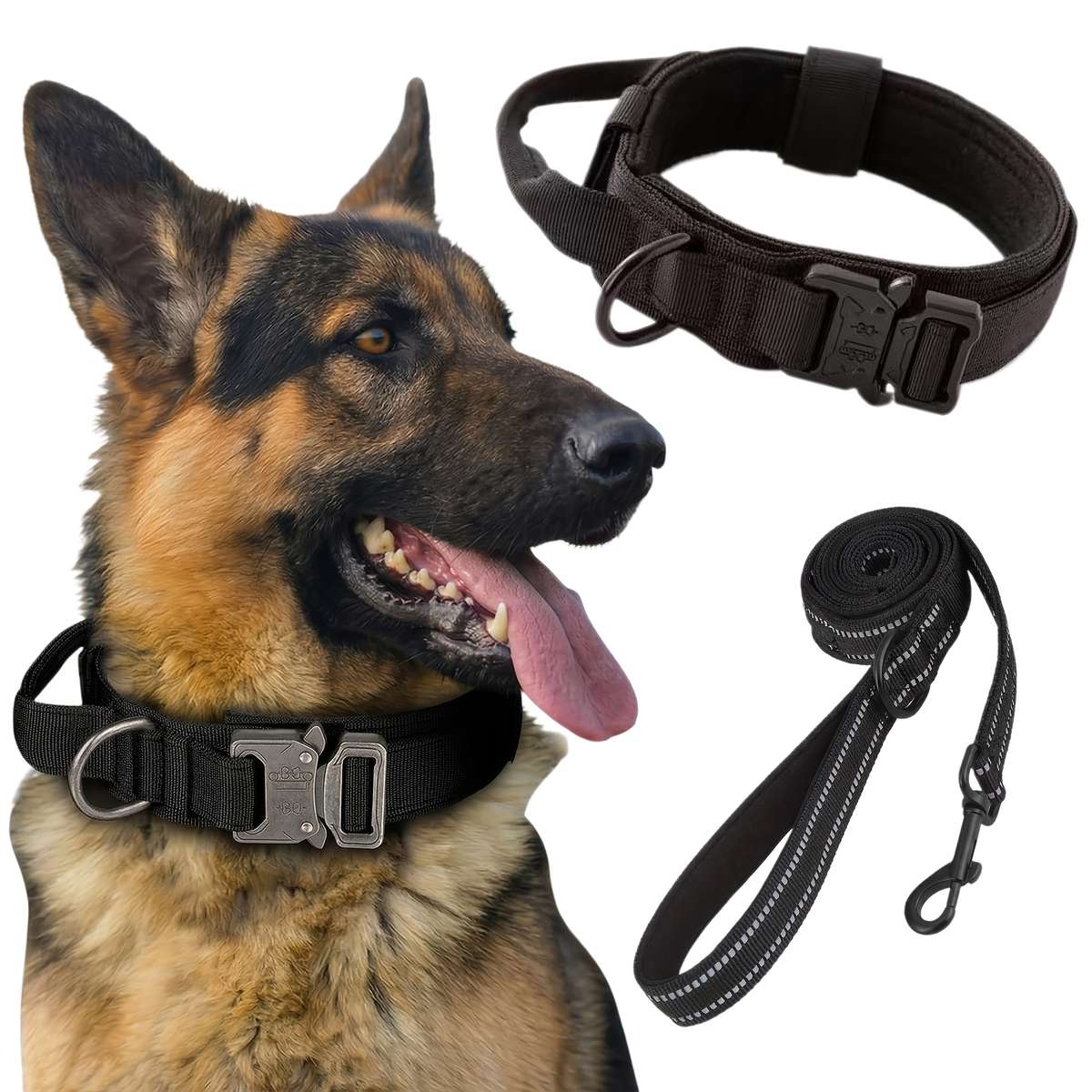 Dog Leash Model A05 Black Size L