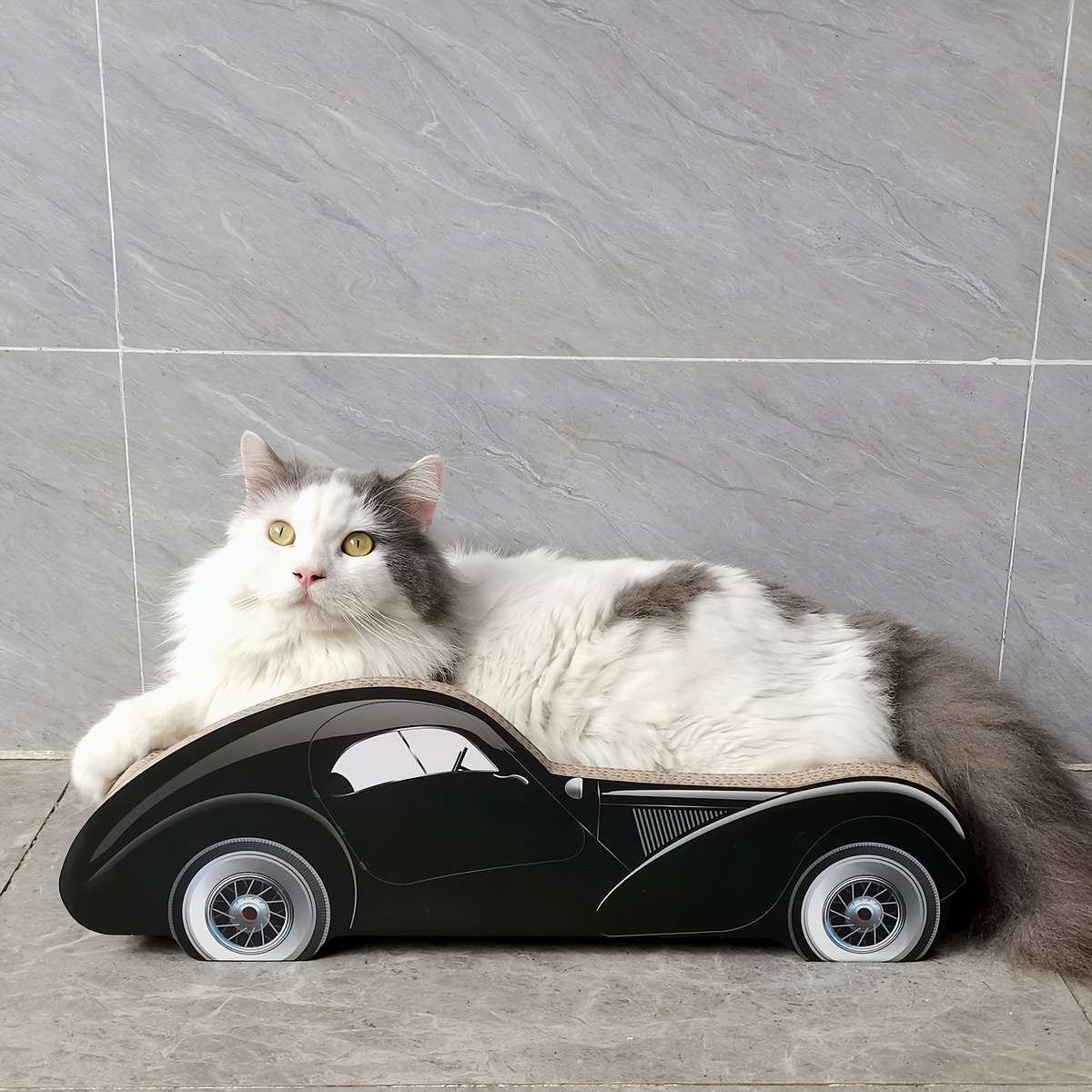 Pet Supplies Items 500 Black Split  Back Sports Car Sofa