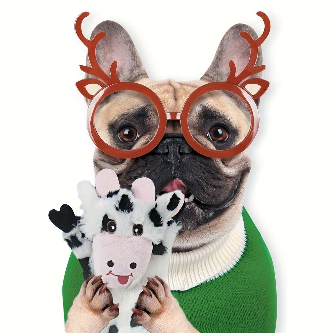 Plush Toys Quantity 5 Piece Set Type B