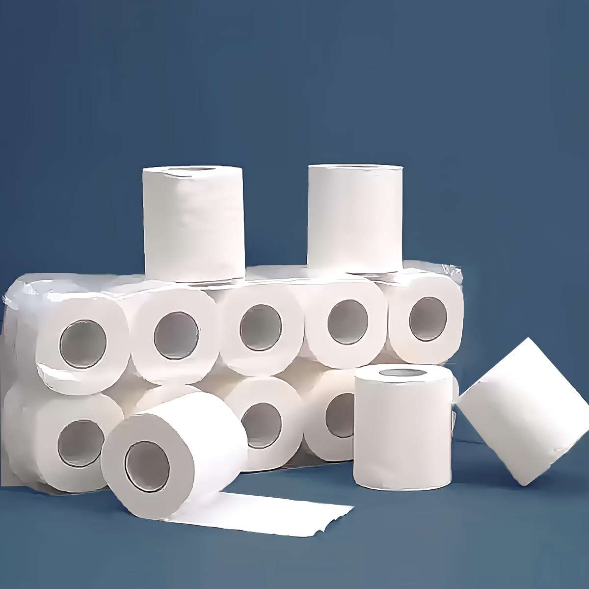 Toilet Paper Quantity 2Pcs