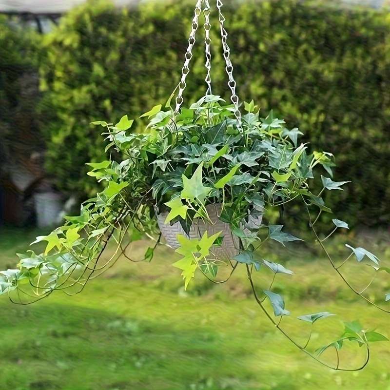 Professional Boho Chic Hanging Flower Pots Long Lasting Quality Professional