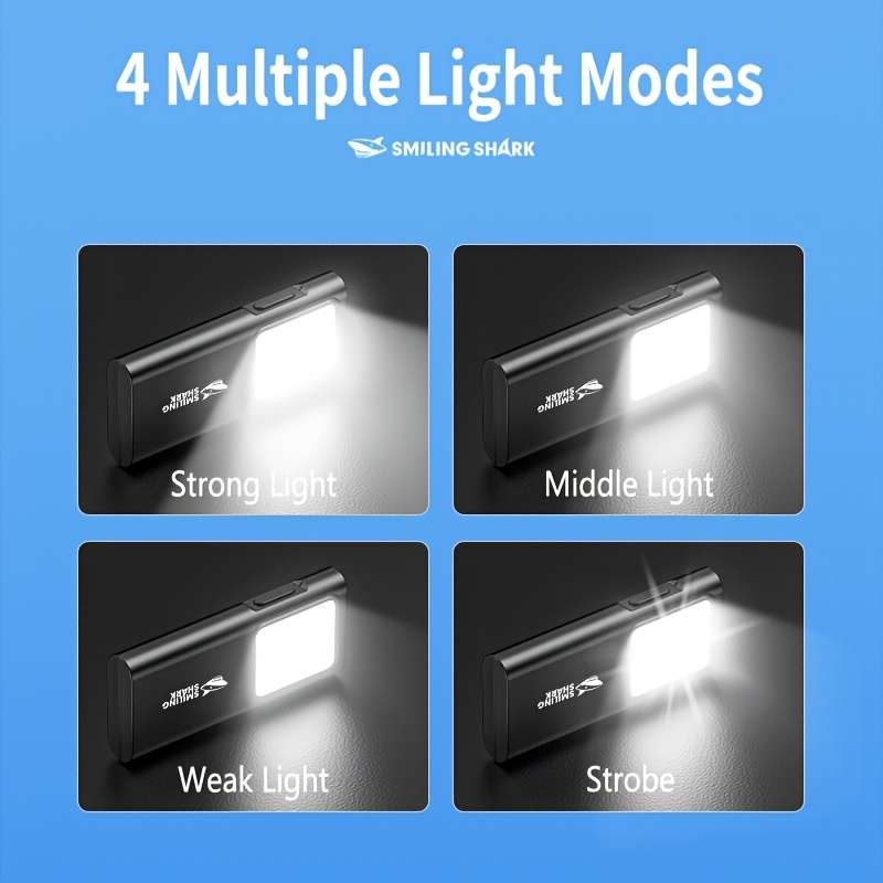 Portable Lamp Model Tip 065A
