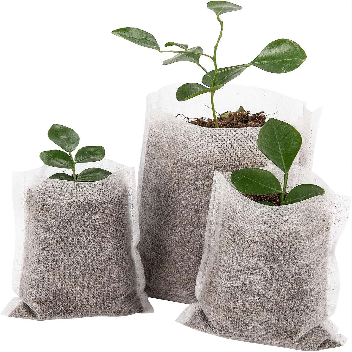 Garden Supplies Quantity 400Pcs8Cm 12Cm