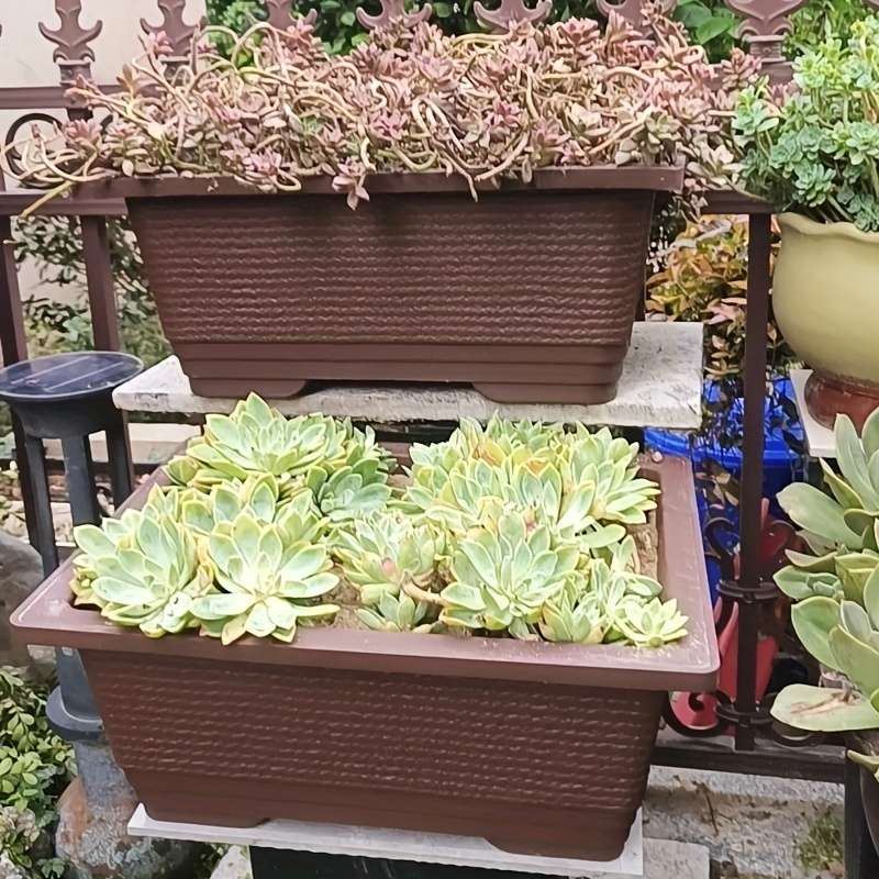 Flowerpot Model Square Basin No Hole At The Bottom 2 Pack