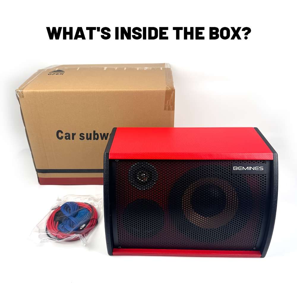 Smart Featuring Crystal Sound 700W Max Power Inch For Festival Celebration 10