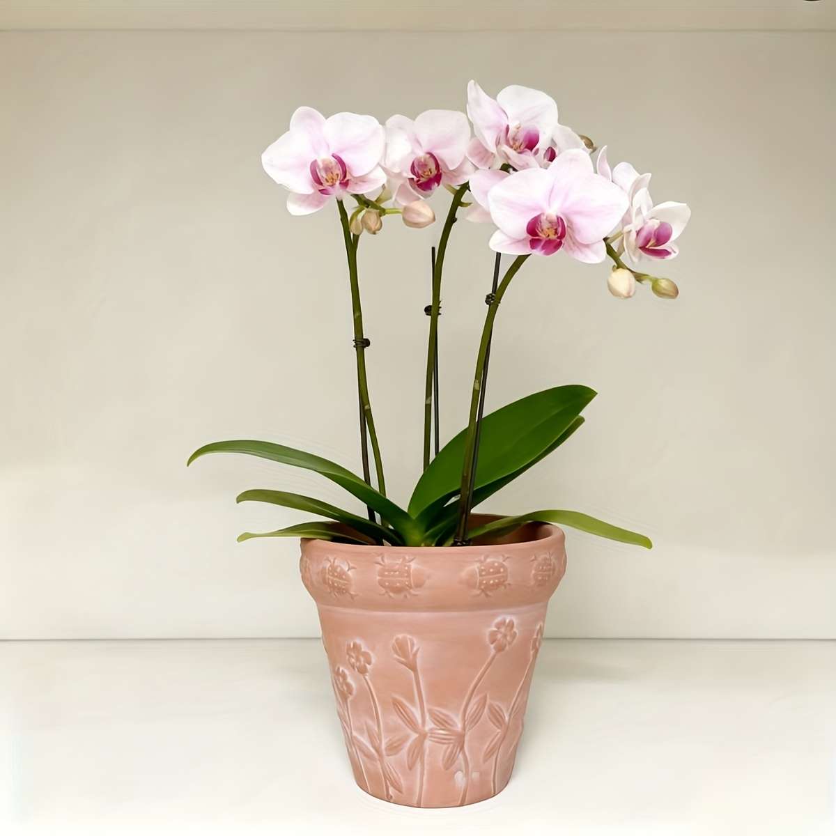 Flowerpot  2Pcssize D15 5Xh14 5Cm