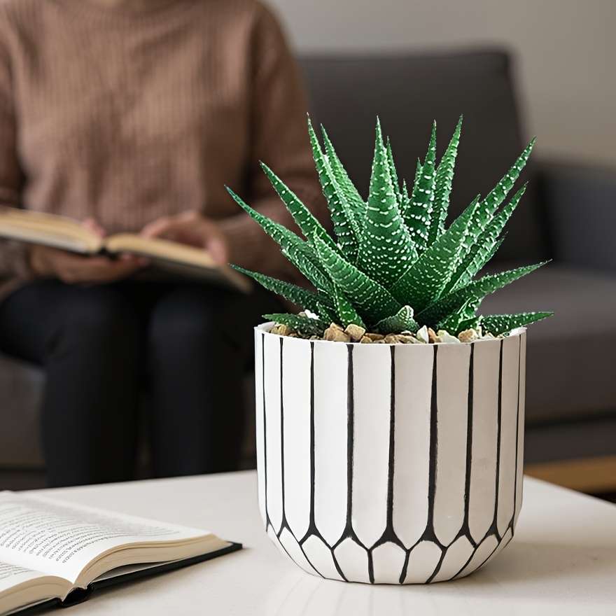 Flowerpot Color White Brushed Black Modelcaliber 10.5*Height T9.5Cm
