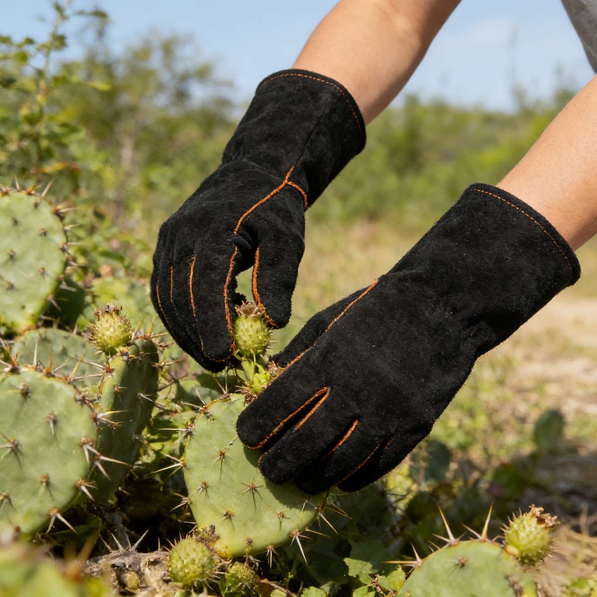 Work Gloves Model Xl1 Pairs