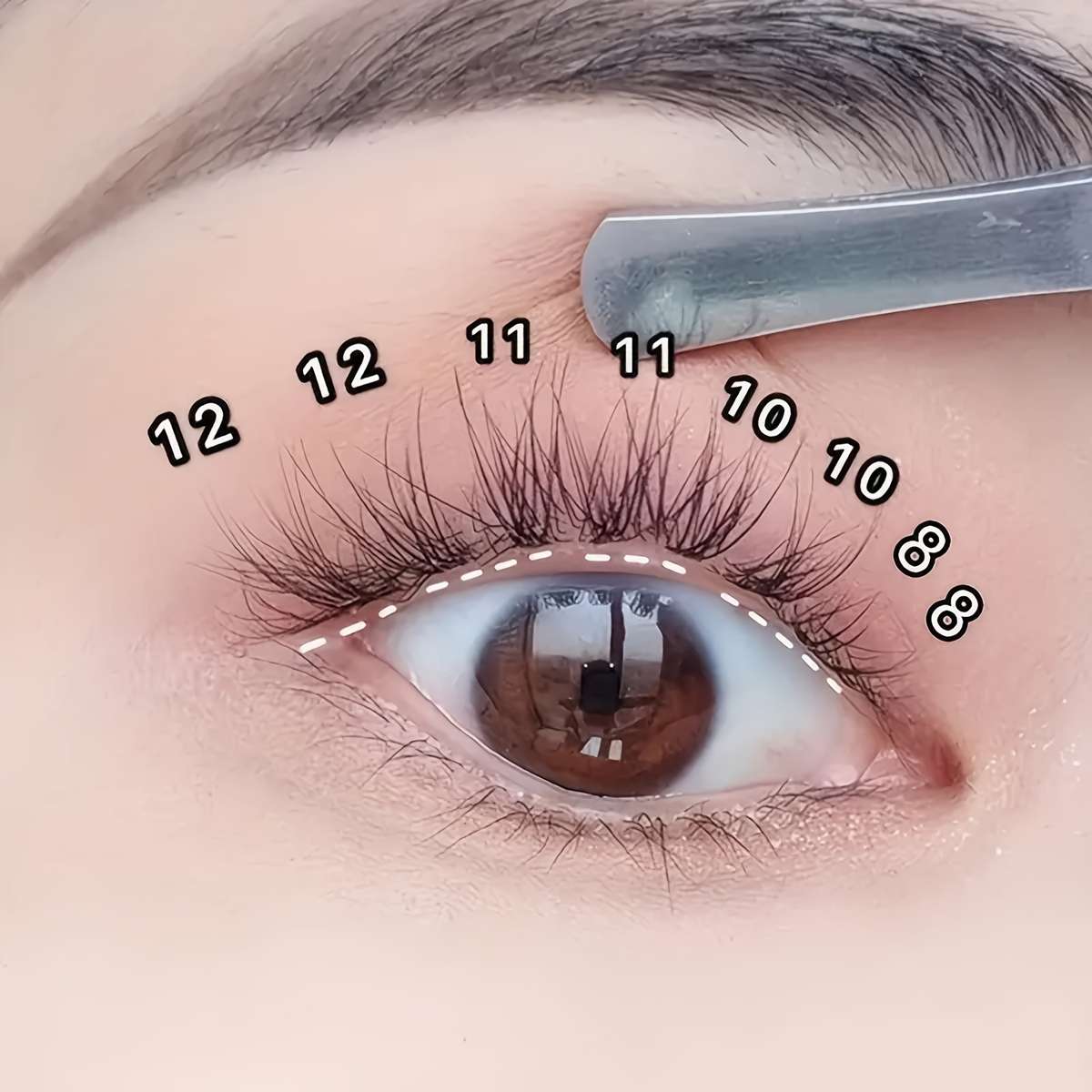 Natural D Curl Lash Extensions Size 9mm 8mm