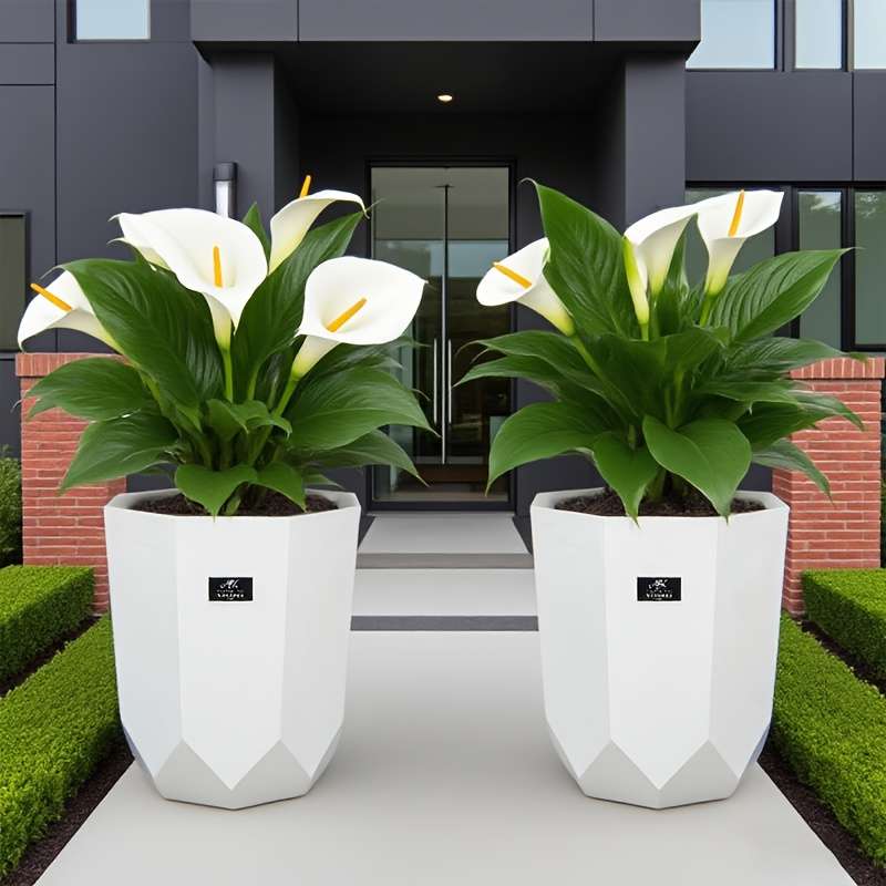 Flowerpot Model White 2 Pieces  Tray 2 Pieces