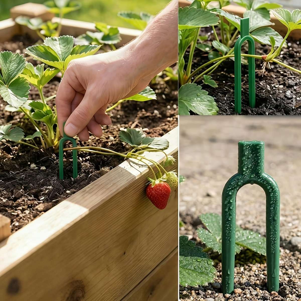 Garden Supplies Color Red Quantity 5Pcs
