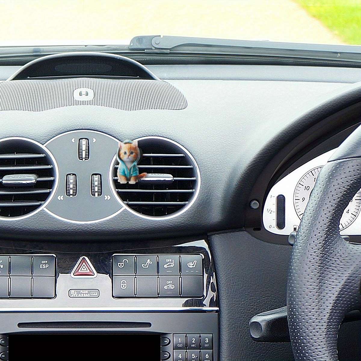 Car Interior Decor  2 Pcs