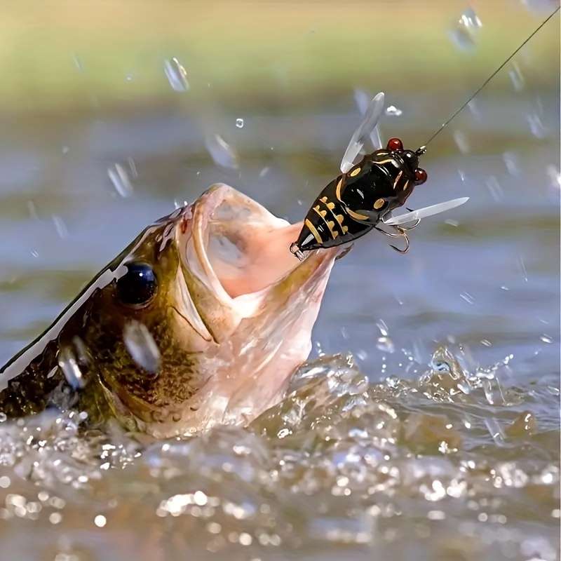 1pc 3D Eyes Cicada Fishing Lure Durable ABS Hard Bait for Freshwater Saltwater Angling