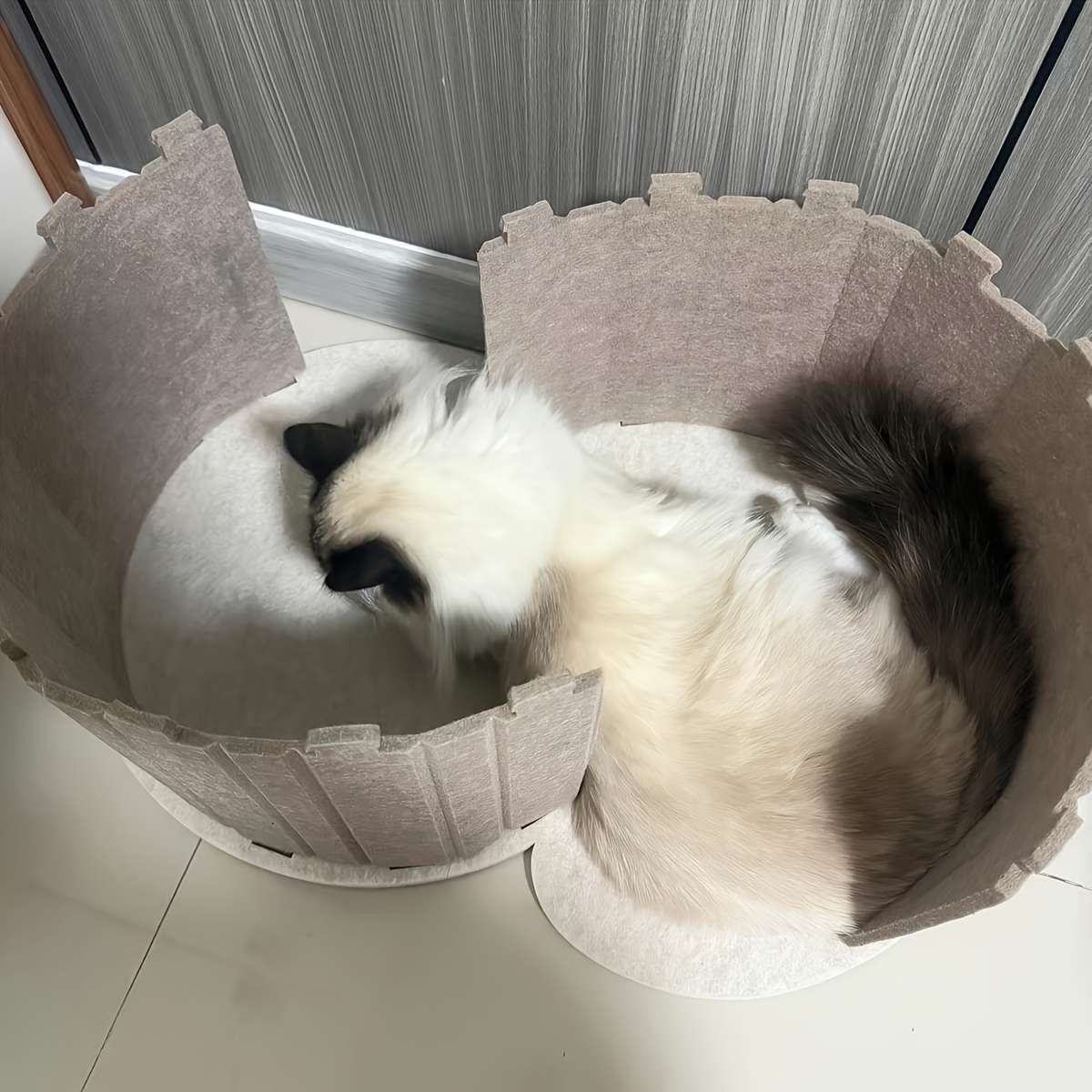 Pet Supplies Color Blue