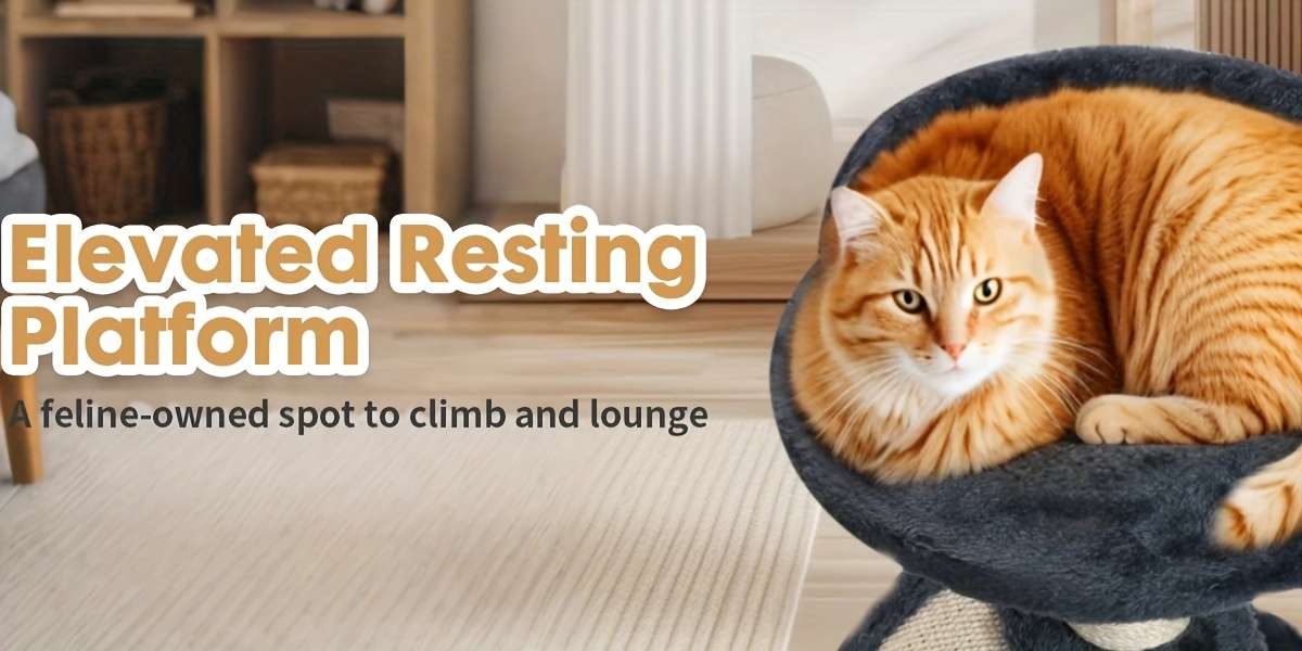 Pet Supplies Color Gray