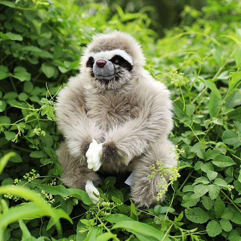 Plush Toyss Items Sloth