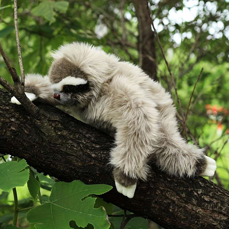 Plush Toyss Items Sloth