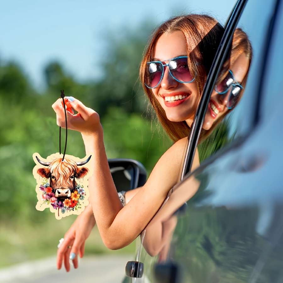 Car Interior Decor  6Pcs