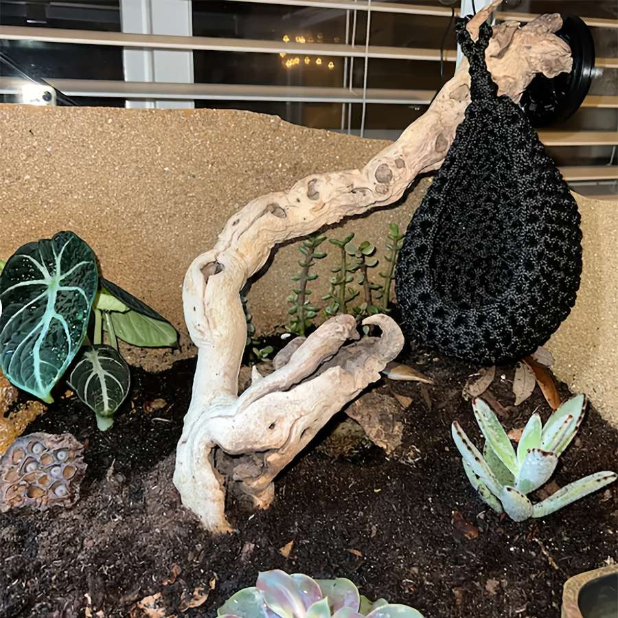 Pet Supplies Color Black