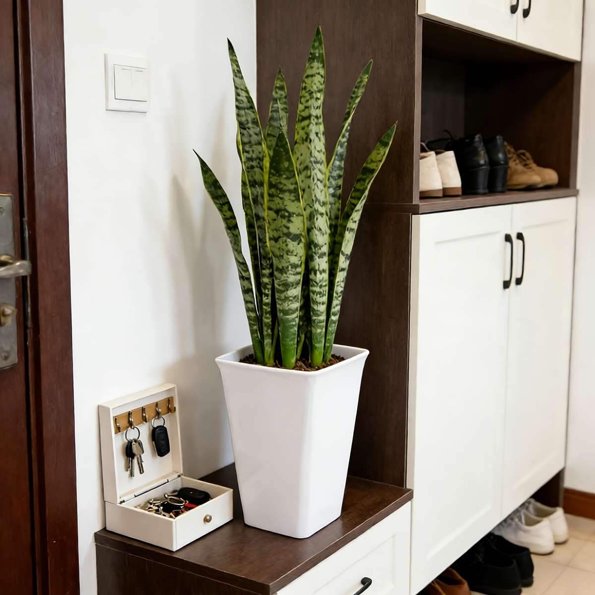 Flowerpot  1Pccolor Black