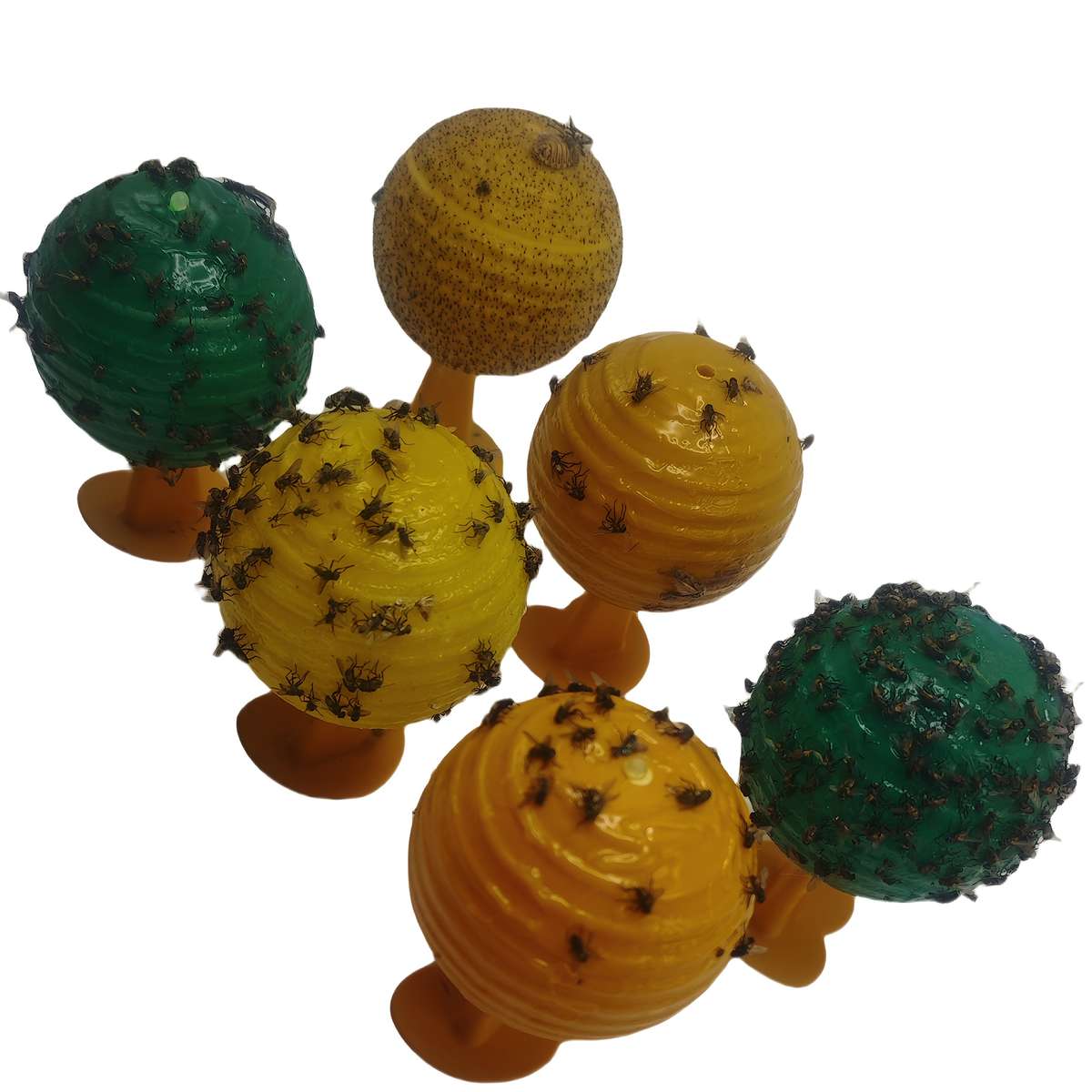 Fruit Fly Traps Color 6Pc  2 Yellow  2 Orange  2 Green