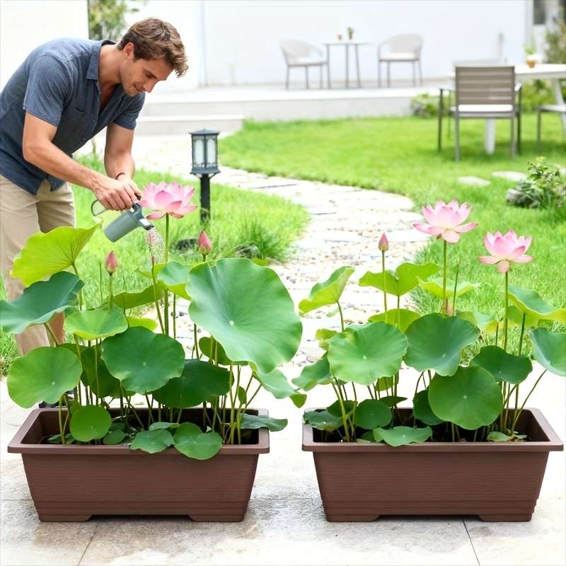 Flowerpot Model Square Basin No Hole At The Bottom 2 Pack