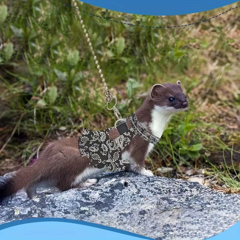 Pet Supplies Color Black Size M