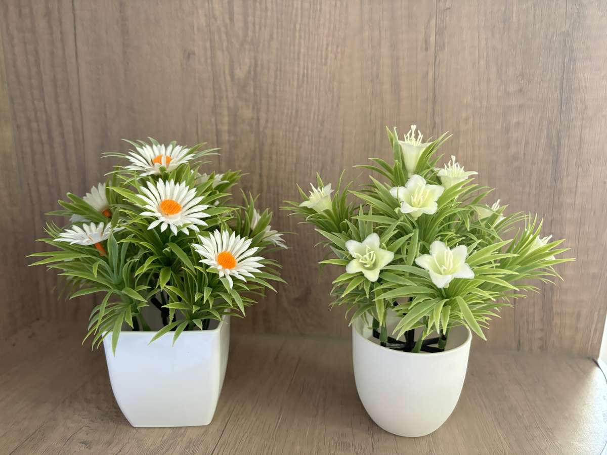 Flowerpot  1Pcitems Small Daisy Bonsai