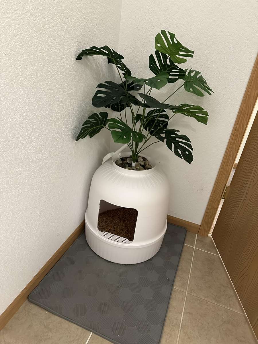 Pet supplies color Mixed Color