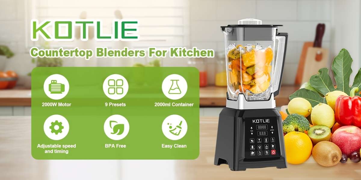 Juicer Model 2L Largecapacity Upgrade Model