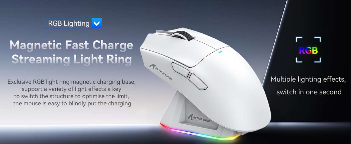 Mouse Color White