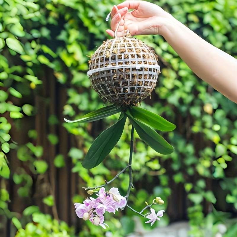 Flowerpot Model 10 01 Cm Ball 5 Pieces