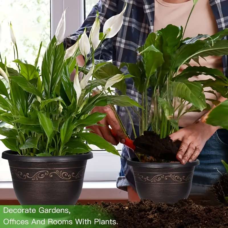 Flowerpot Color 6 Flower Pots  Add  6 Saucers