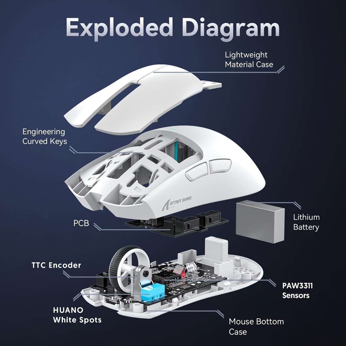 Mouse Color White