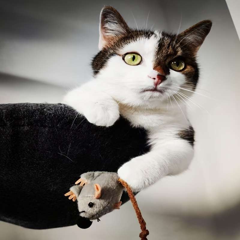 Plush Toyss Quantity 1pc