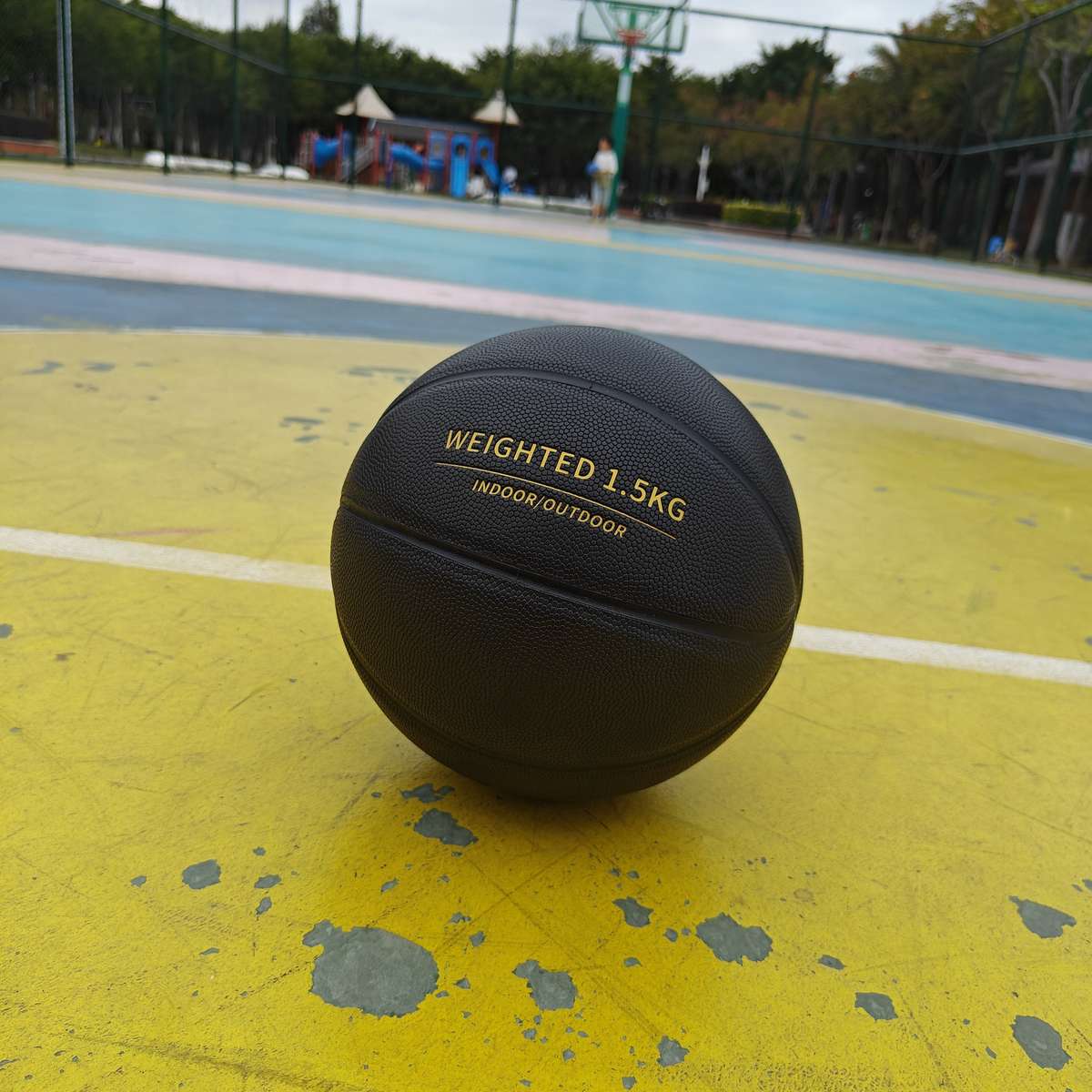 Basketball Weight 1300G 3Lbs