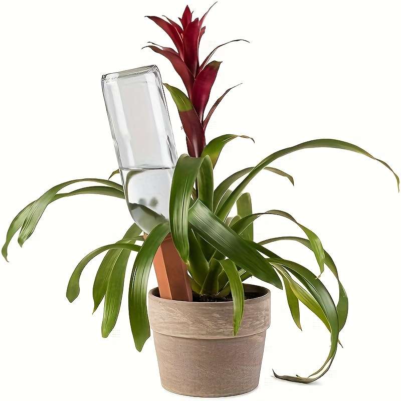 Flowerpot Size D5.5*17.5Cm Quantity6Pcs