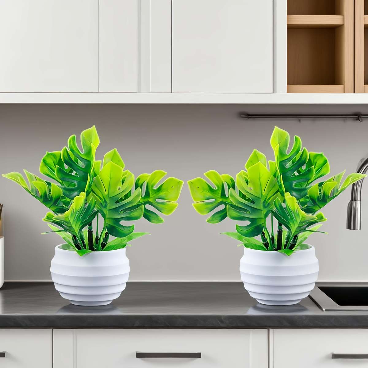 Flowerpot Model Green Leaves  White Pot Quantity2 Pots