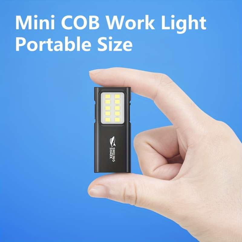 Portable Lamp Model Tip 065A