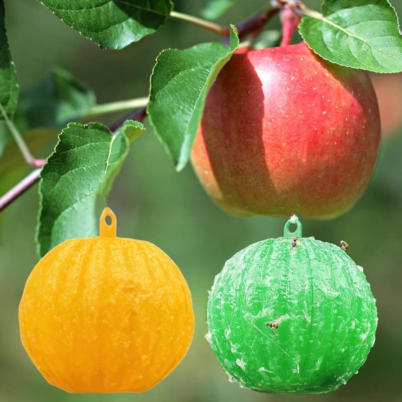 Fruit Fly Traps Color Green   2 Pieces
