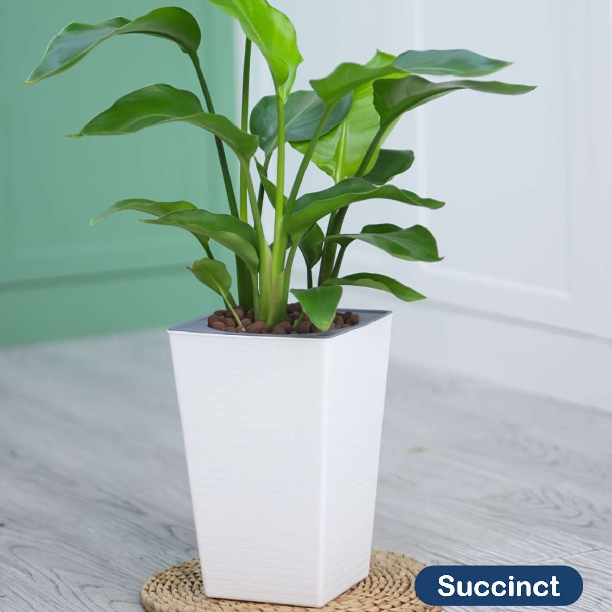 Flowerpot Color 2 Pieces Of White