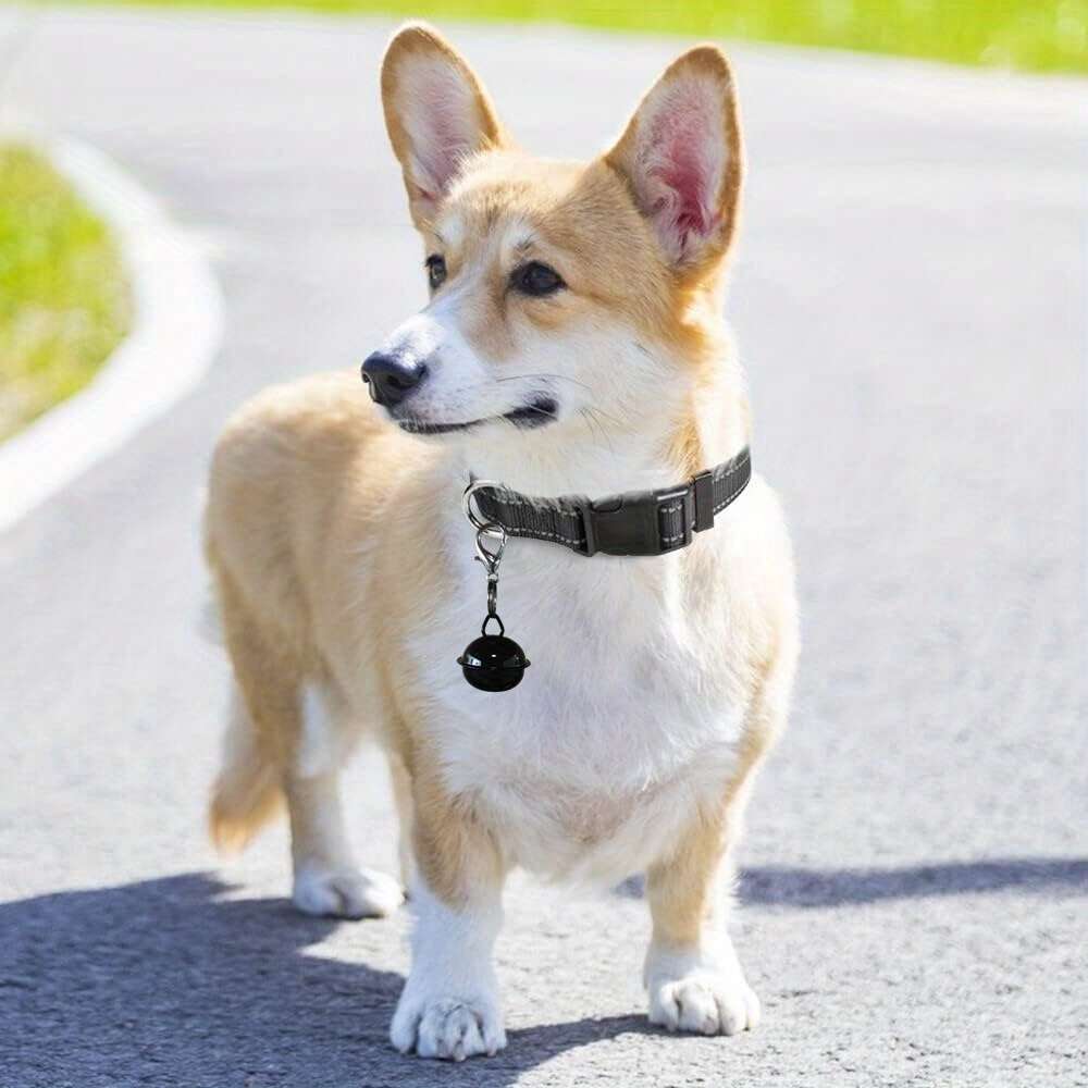 Dog Leash Color Dark Blue Size L