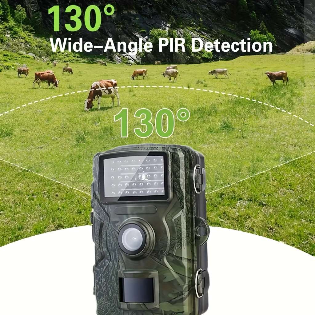 Camera Model No Card