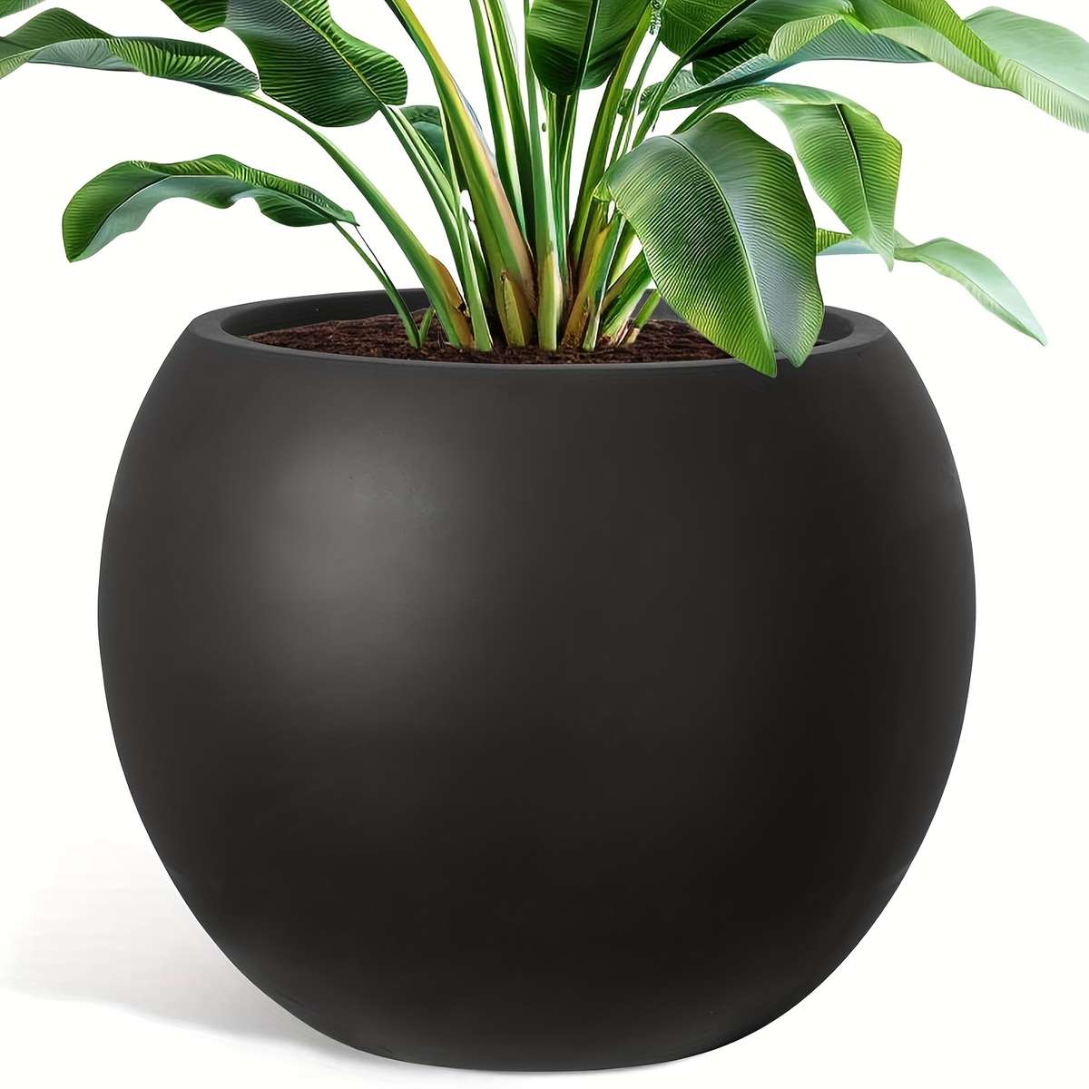 Heavy Duty Large Cm Tall Cm Diameter Aesthetic Design Modern Lifestyle