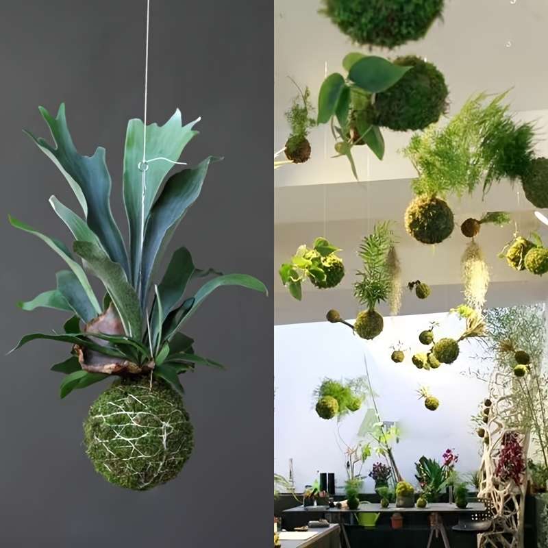 Flowerpot Model 10 01 Cm Ball 5 Pieces