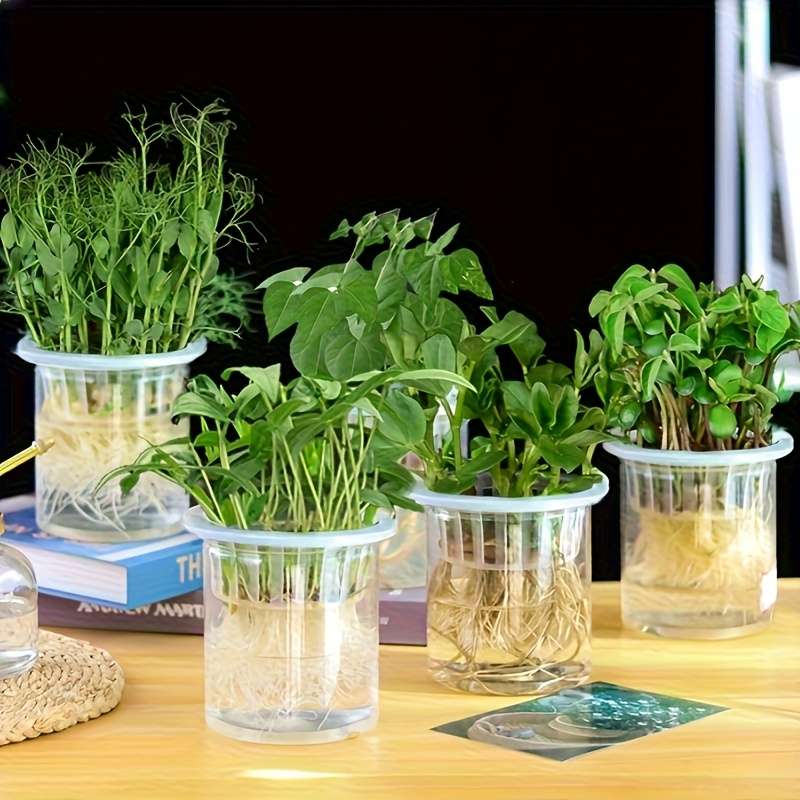 Flowerpot Quantity 5Pcs