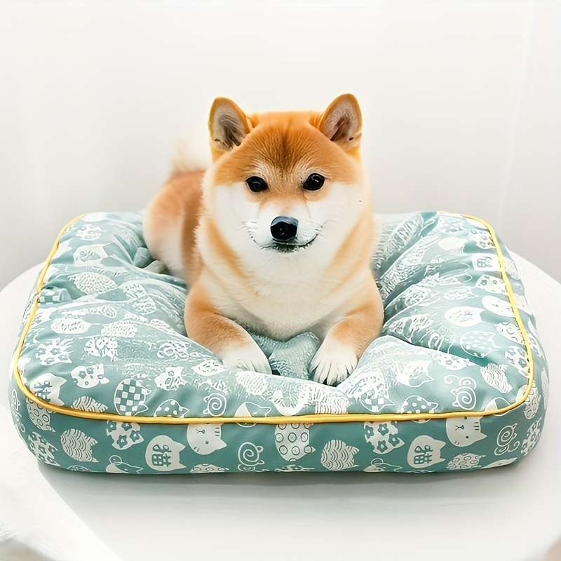 Pet Supplies Size L Style Dog Paradise