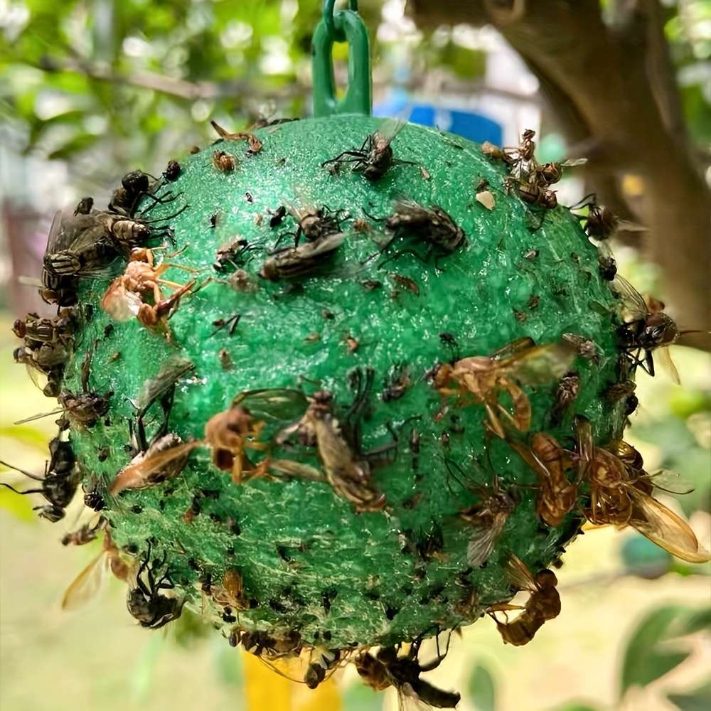 Fruit Fly Traps Items 3Pcs Random Colors