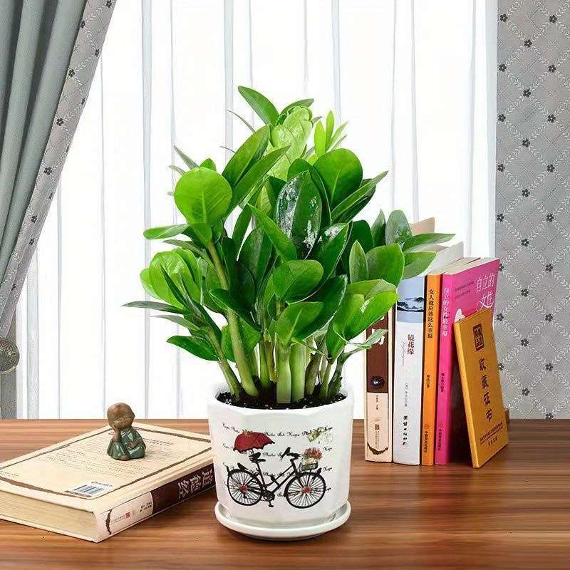 Flowerpot Model 2Pcs Set